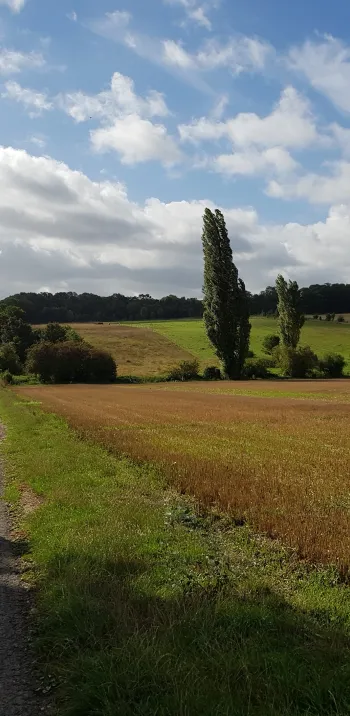 Le sens du rayon 1.jpg