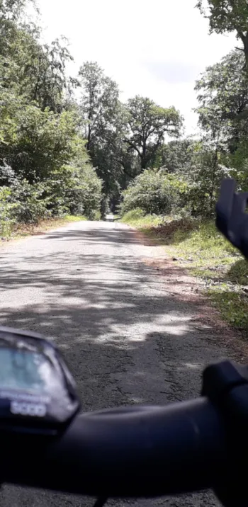 Témoignage Hélène - La forêt du Halatte